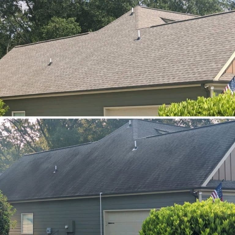 pressure washing services roof cleaning